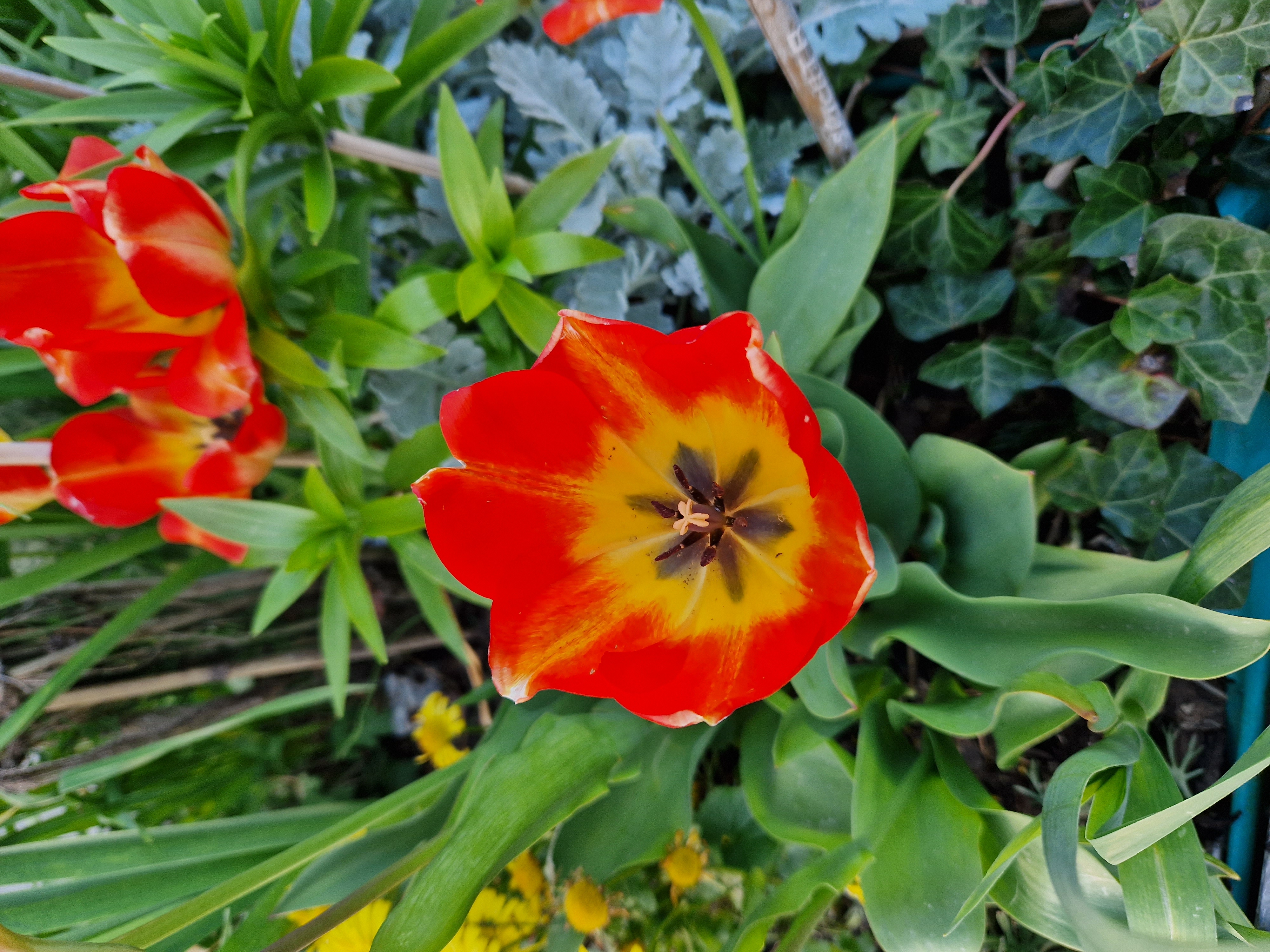 Profilbild von Monika Martin